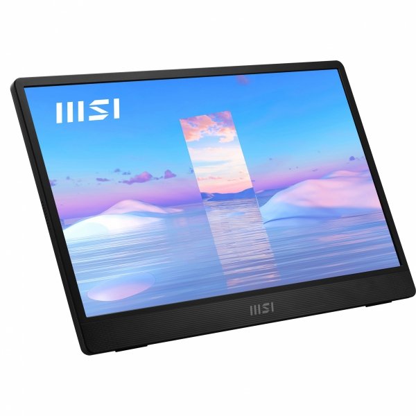 Monitor PRO MP161 15,6 cala FHD/60Hz/2xUSB C