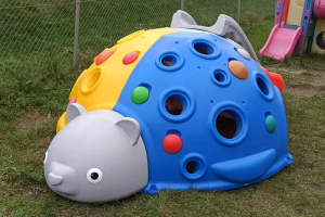 Kopuła wspinaczkowa Miś