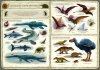 Nasza księgarnia Książeczka Opowiem ci, mamo, co robią dinozaury