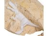 Wykopaliska Archeologiczne, JAJKO Z DINOZAUREM, Mały Archeolog, Zestaw