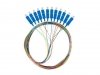 Lanberg Pigtail SM SC/UPC Easy Strip 9/125 G657A1 12X2M multikolor
