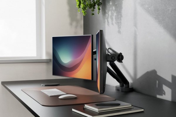 Digitus Ramię biurkowe podwójne z zaciskiem i sprężyną mechaniczną 2x LCD max. 35" obciążenie 2x10kg, VESA: 75x75, 100x100,