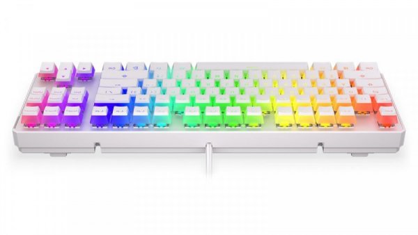 Endorfy Klawiatura gamingowa - Thock TKL OWH P. Kailh BL RGB