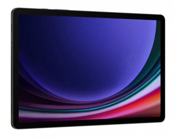 Samsung Tablet Galaxy Tab S9 X710 Wifi 11 cali 12/256 GB Szary