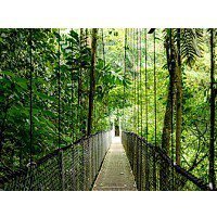 HP Inc. Komputer ProDesk 4 Tower G1i Desktop AI PC U5-225 512/16/W11P      9H7U6ET