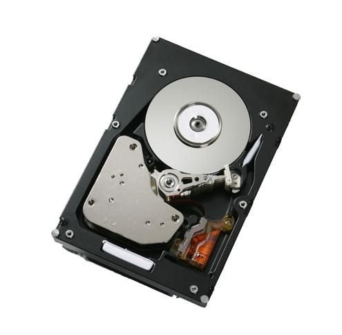 IBM 300Gb FC 4Gbps 15K E-DDM H **Refurbished**
