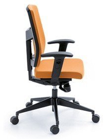 Raya 21S czarny P45PP fotel biurowy obrotowy krzesło obrotowe biurowe PROFIM Biurokoncept