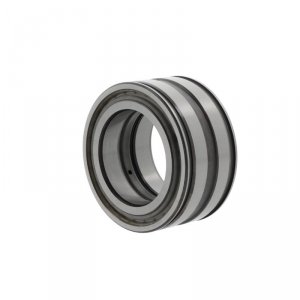 SL04130 DPPC3