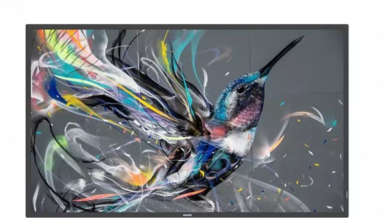 Philips Monitor wielkoformatowy 49.5 cala 50BDL3510Q Public Display