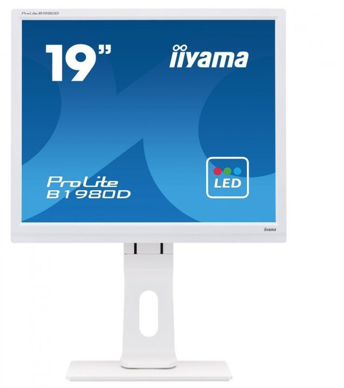IIYAMA Monitor 19 cali B1980D-W1 DVI^VGA^5:4^PIVOT^HAS^ACR^VESA