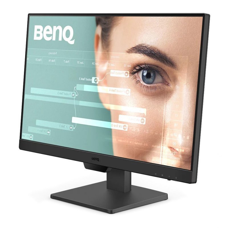Benq Monitor 23.8 cala GW2490  LED 5ms^IPS^100Hz^HDMI^czarny