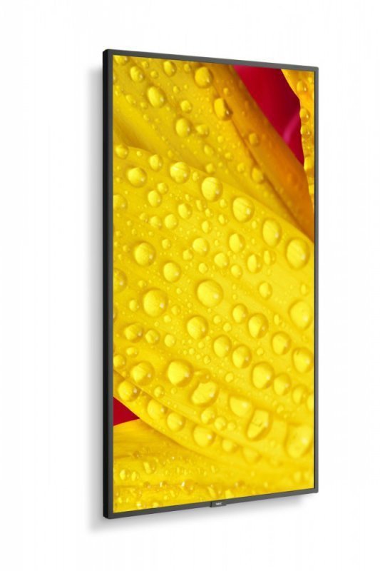 NEC Monitor wielkoformatowy MultiSync M431-2 43 cale UHD 500cd^m2 24^7