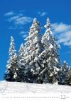 Kalendarz ścienny wieloplanszowy Trees 2025 - grudzień 2025