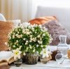 Kalendarz ścienny wieloplanszowy Hygge 2025 z naklejkami - kwiecień 2025