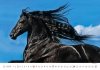 Kalendarz ścienny wieloplanszowy Horses 2024 - marzec 2024