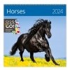 Kalendarz ścienny wieloplanszowy Horses 2024 z naklejkami - okładka