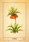 Kalendarz ścienny wieloplanszowy Herbarium 2023 - wrzesień 2023