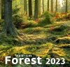 Kalendarz ścienny wieloplanszowy Forest 2023 - okładka 