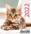 Kalendarz biurkowy 2022 Kotki (Kittens) - okładka 