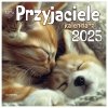 Kalendarz ścienny wieloplanszowy 33x33 cm PRZYJACIELE 2025 - okładka