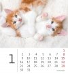 Kalendarz biurkowy 2023 Kotki (Kittens) - styczeń 2023