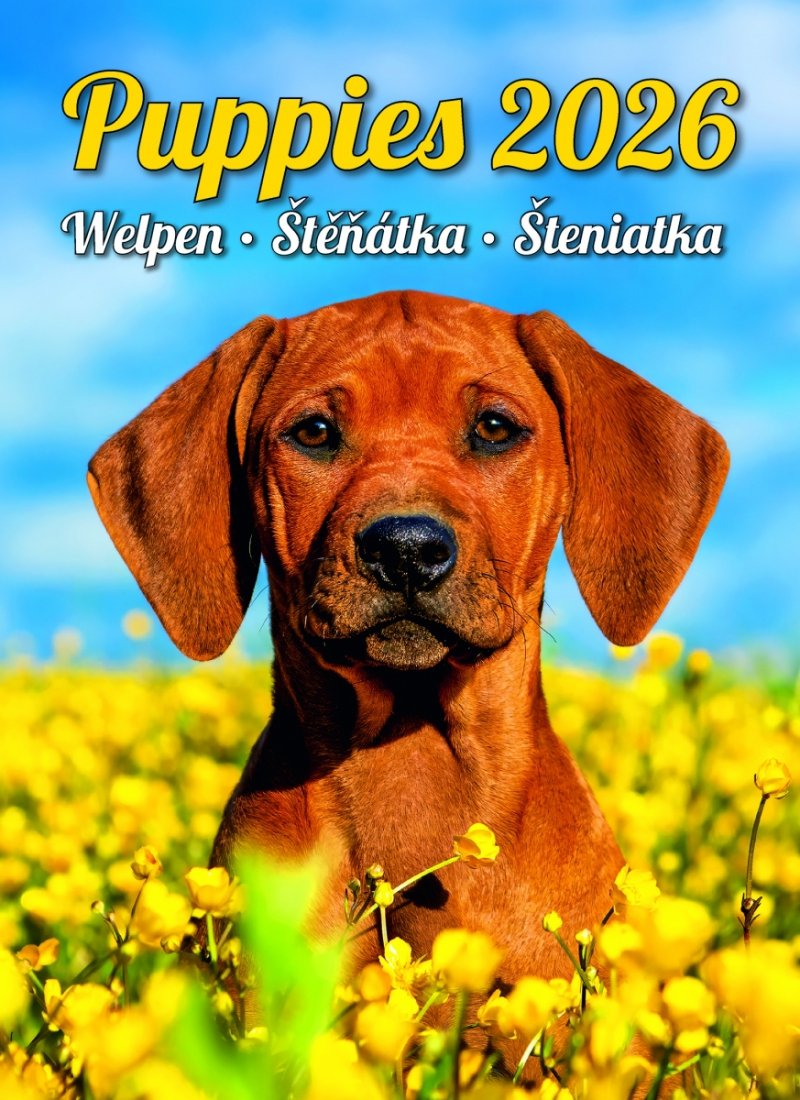 okładka kalendarza wieloplanszowego na rok 2026