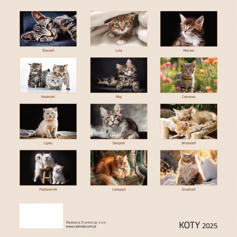 Kalendarz ścienny wieloplanszowy 33x33 cm KOTY 2025 - tył okładki