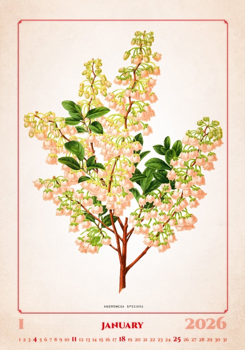 kalendarz ścienny z dużymi zdjęciami na rok 2026