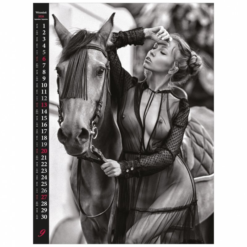 C12 Kalendarz ścienny wieloplanszowy Erotic Moments 2026