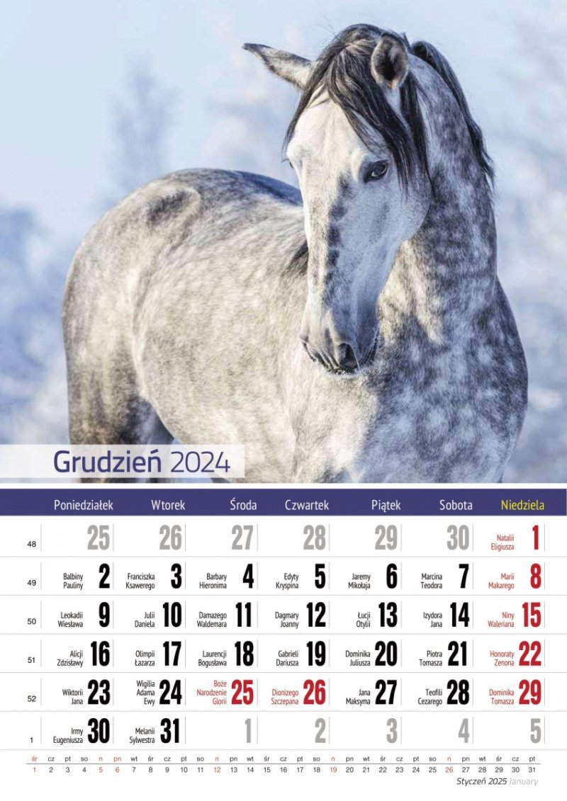Kalendarz ścienny wieloplanszowy A4 KONIE 2025 - grudzień 2024