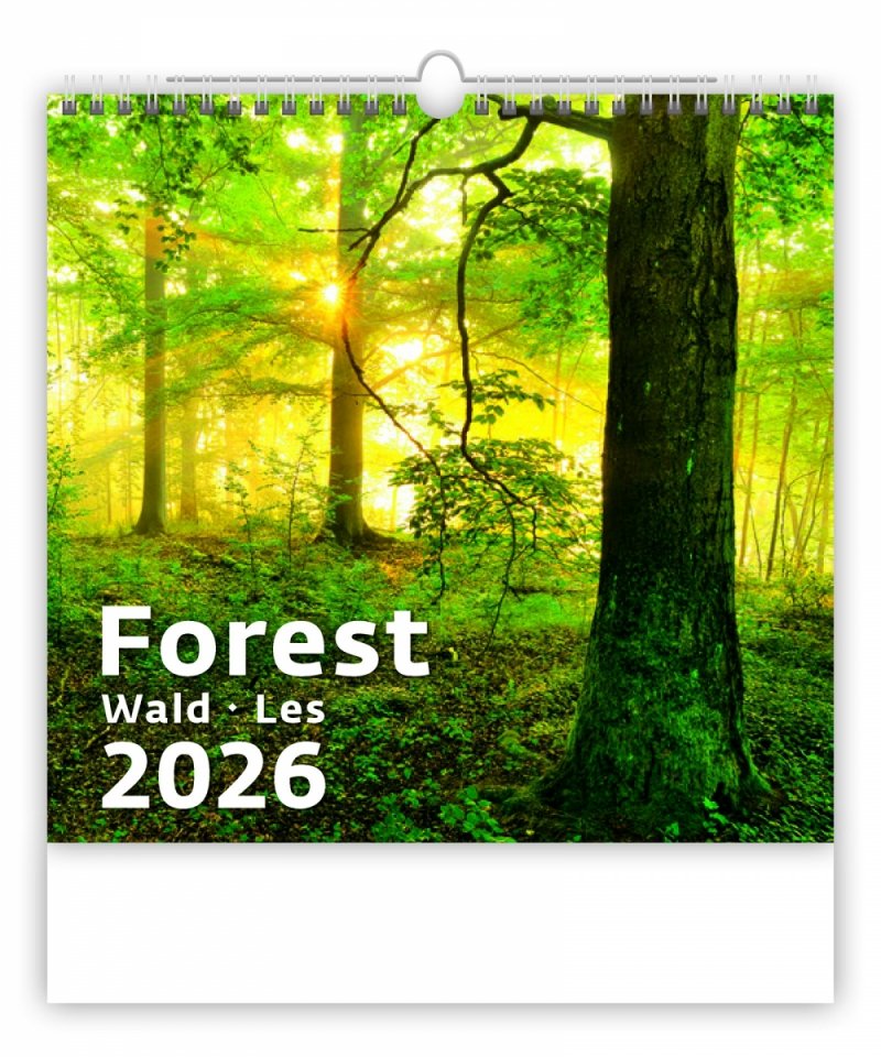 kalendarz ścienny wieloplanszowy Forest 2026