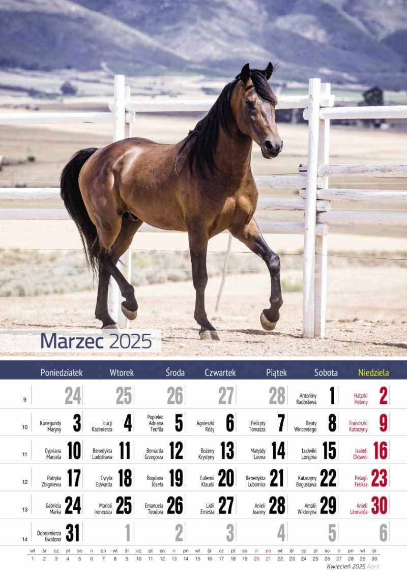 Kalendarz ścienny wieloplanszowy KONIE 2025 - marzec 2025