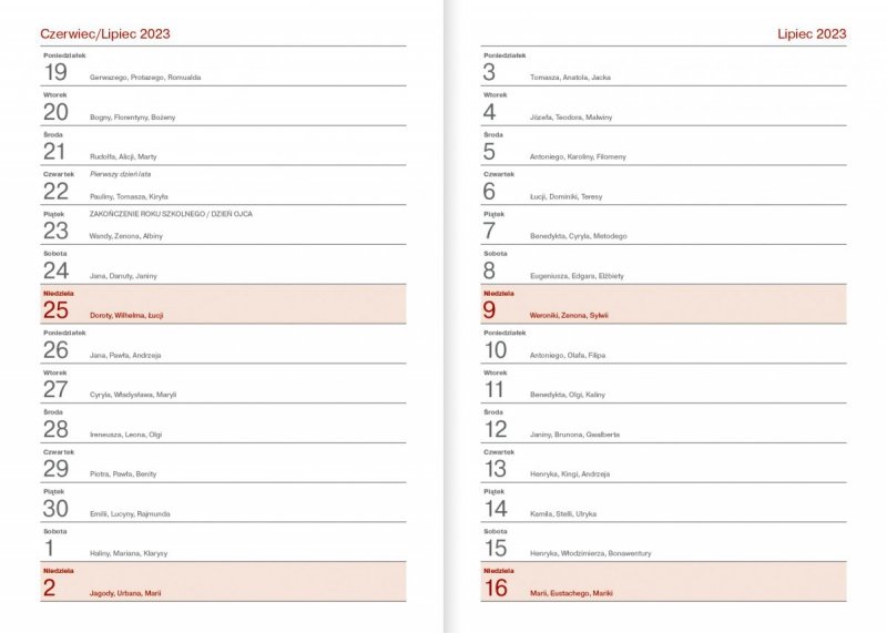 Kalendarz nauczyciela 2023/2024 A5 tygodniowy oprawa VIVELLA seledynowa - KOT