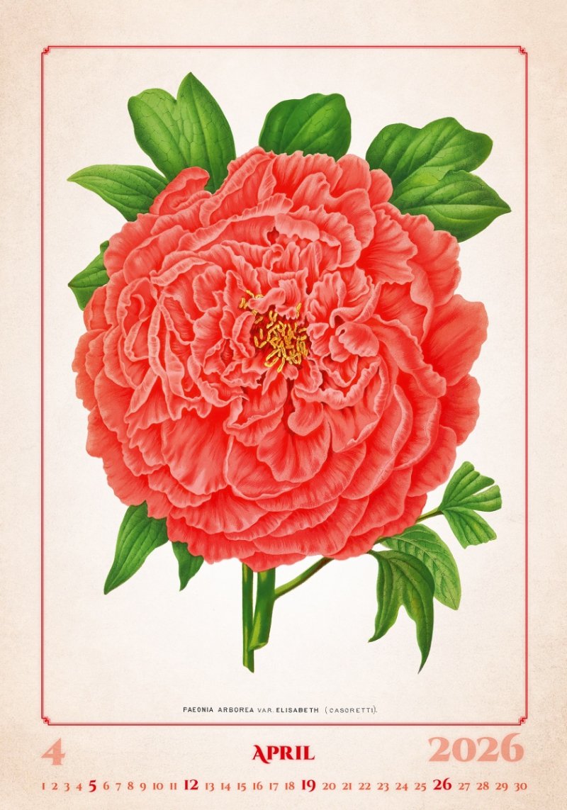 kalendarz do powieszenia na ścianę z dużymi zdjęciami dla miłośników kwiatów i ziół