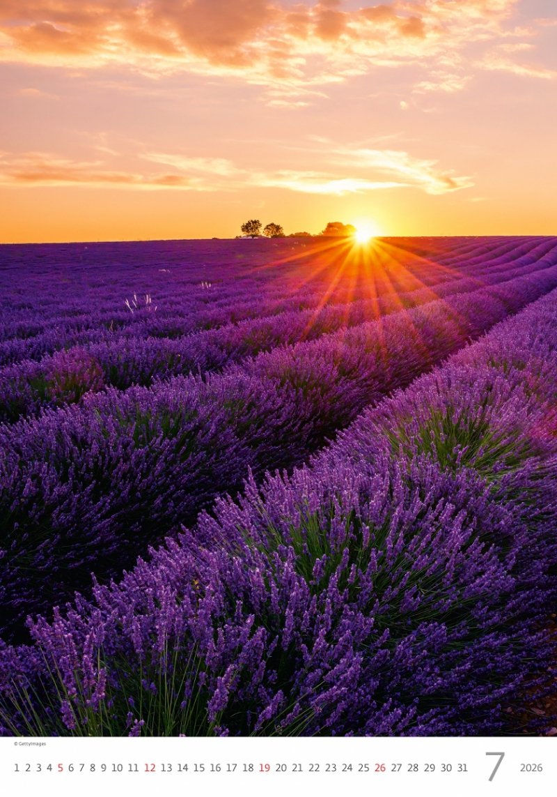 kalendarz na rok 2026 do powieszenia na ścianie w formacie 31.5 x 45 cm