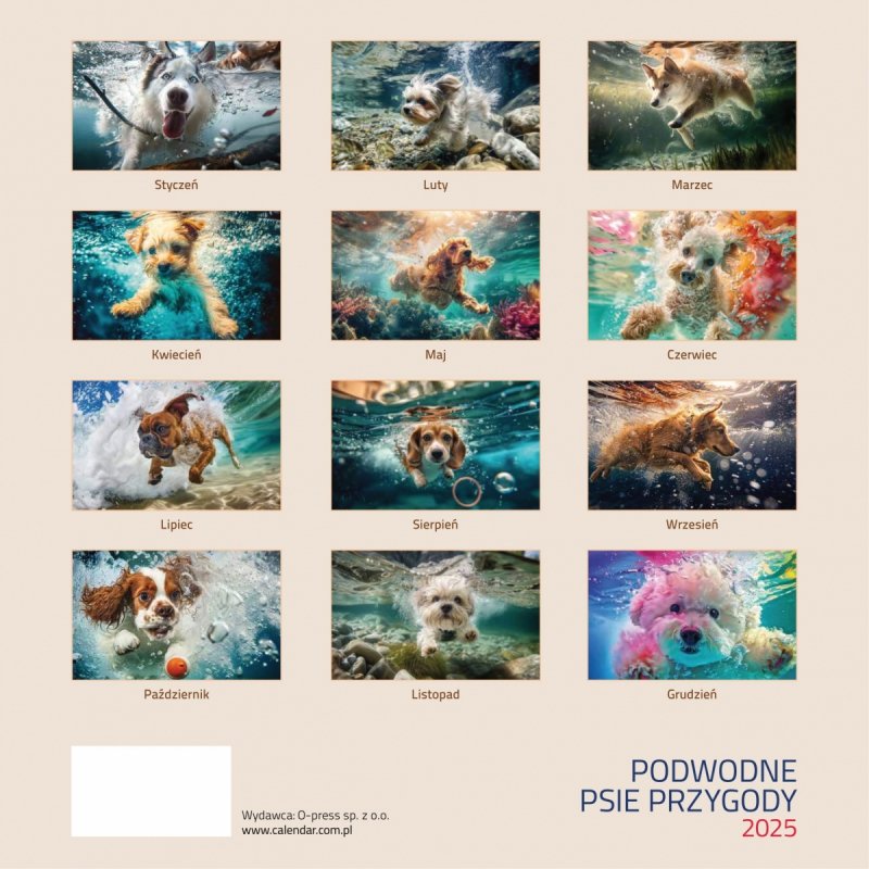 Kalendarz ścienny wieloplanszowy 33x33 cm PODWODNE PSIE PRZYGODY 2025 - tył okładki