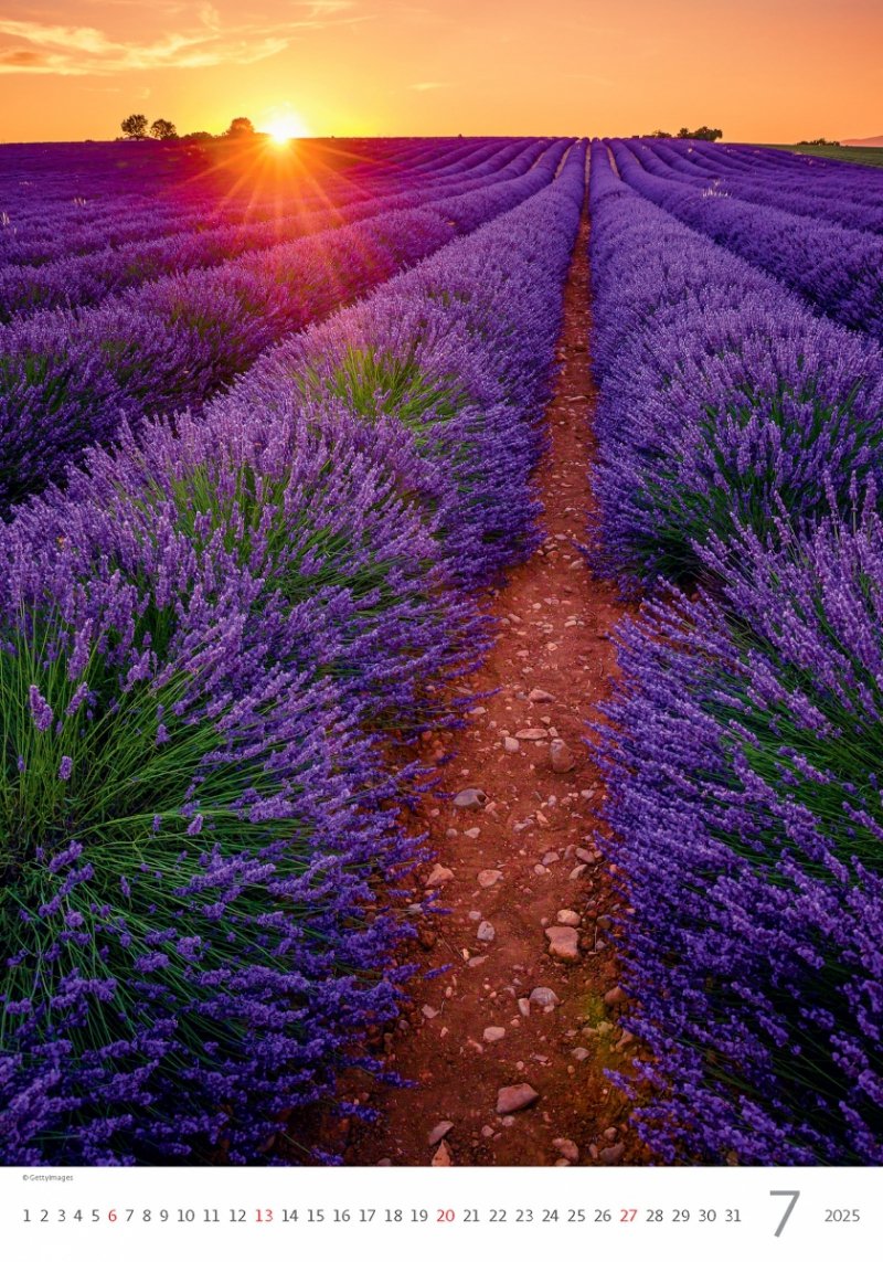 Kalendarz ścienny wieloplanszowy Provence 2025 - lipiec 2025