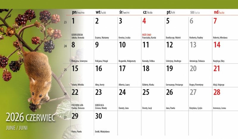 miesięczny kalendarz do postawienia na biurko na rok 2026