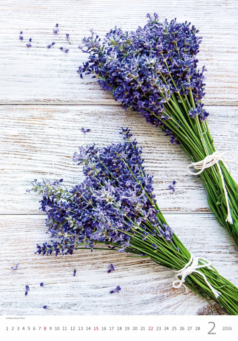 piękny kalendarz z dużymi zdjęciami na rok 2026