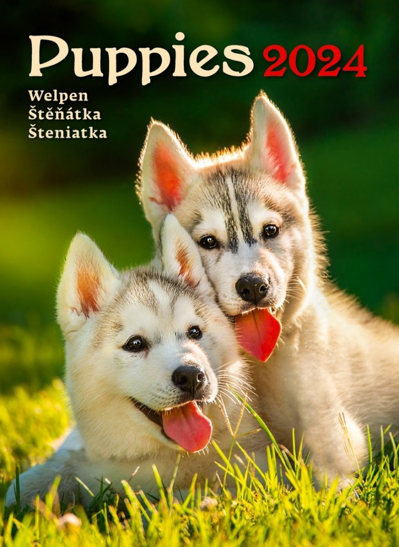 Kalendarz ścienny wieloplanszowy Puppies 2024 - okładka 