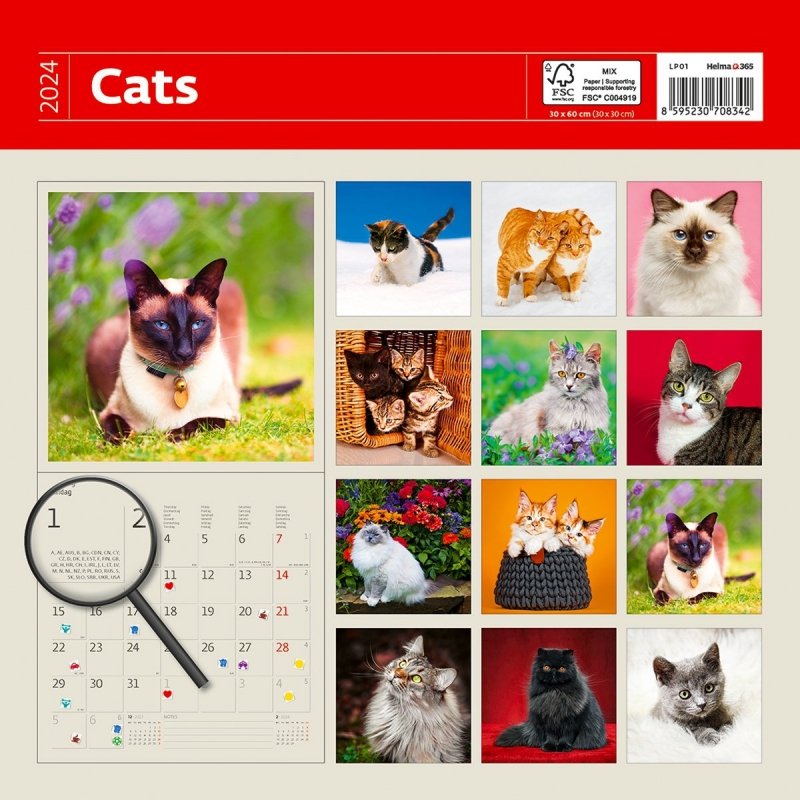Kalendarz ścienny wieloplanszowy Cats 2024 z naklejkami - okładka tył