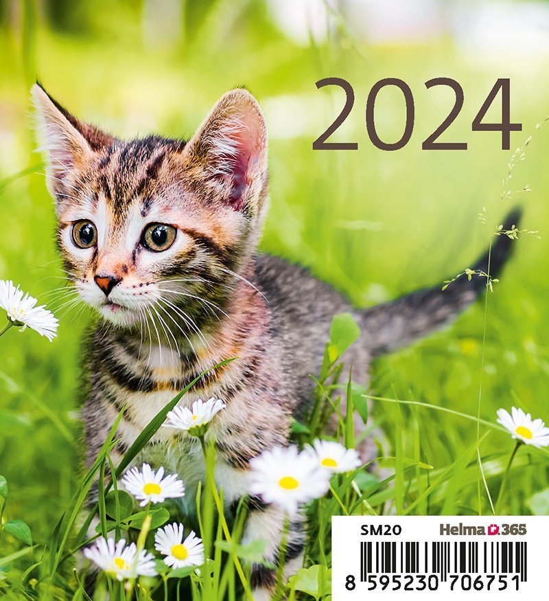 Kalendarz biurkowy 2024 Kotki (Kittens) - okładka