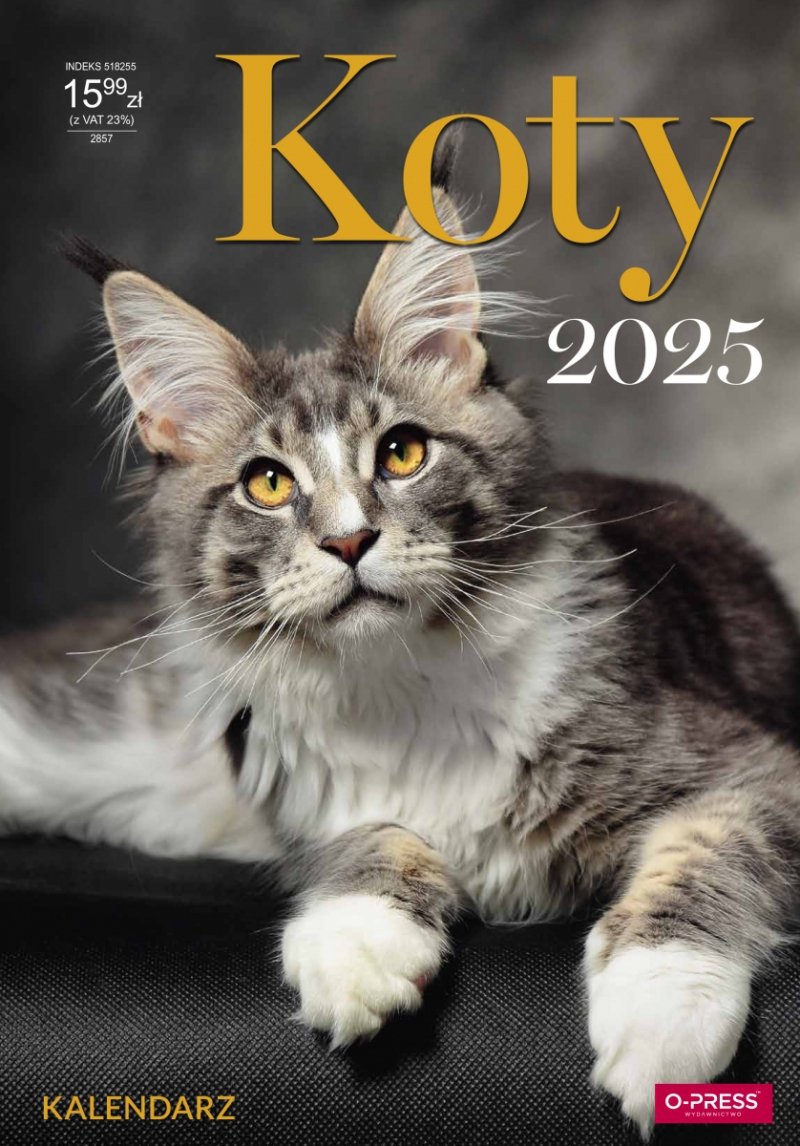 Kalendarz ścienny wieloplanszowy KOTY 2025 - okładka