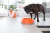 OH Bowl® Miska dbająca o higienę jamy ustnej psa Czarna rozmiar M