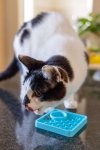 Mata LickiMat® Classic Kitty™ turkusowa