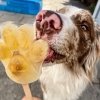 Stevi & Schnück‘s Hundemarmelade KÜsschen! DŻEM DOBRY POCAŁUNEK 275g