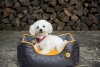 Kiwi Walker SOFA BED pomarańczowo-szara rozmiar M
