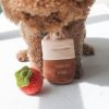 Pups & Bubs TOMATO SOUP Zupa pomidorowa zabawka węchowa 