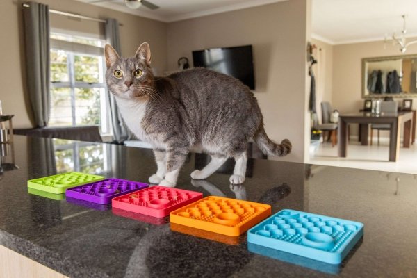 Mata LickiMat® Classic Catster™ pomarańczowa