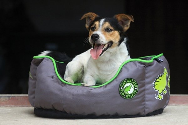 Kiwi Walker OVAL PET BED pomarańczowo-szary rozmiar L